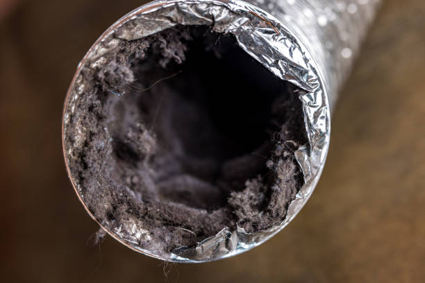 Best Air Duct Cleaning Near Me  in Progress Village, FL